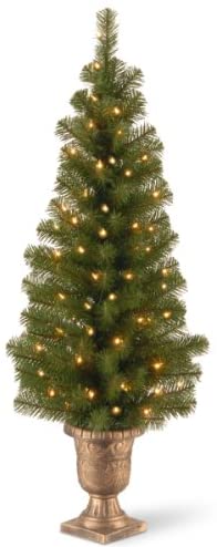 You are currently viewing National Tree Company Pre-lit Artificial Tree For Entrances and Christmas| Includes Pre-strung White Lights | Montclair Spruce – 4 ft